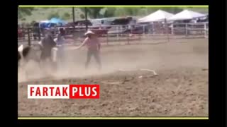 نحوه رام و زین کردن اسب های وحشی!