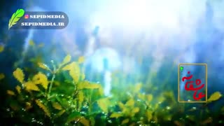 عاشقانه؛ چهارم