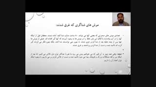 پنجمین جلسه درس رفتار سازمانی