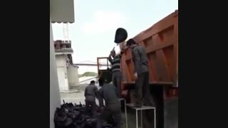 فاجعه در حومه تهران/ جوجهها یی که زنده به گور میشوند!