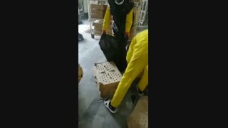 فاجعه در حومه تهران/ جوجهها یی که زنده به گور میشوند!