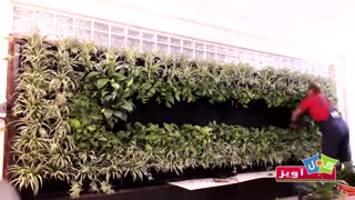 نصب و راه اندازی سازه دیوار سبز گل آویز